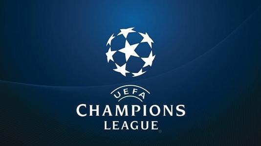 合作支持体 合作支持体